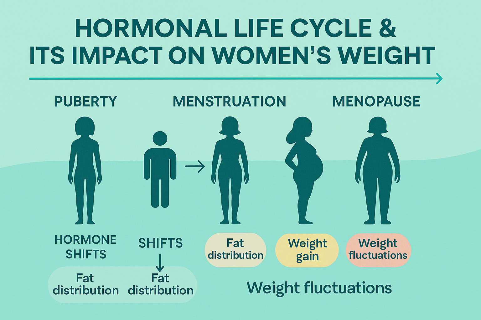 Hormonal Life Cycle & Its Impact on Women’s Weight