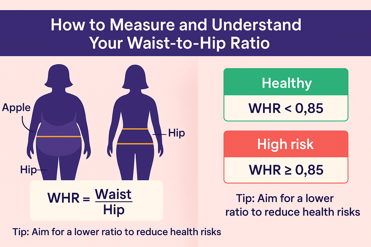 How to Measure and Understand Your Waist-to-Hip Ratio