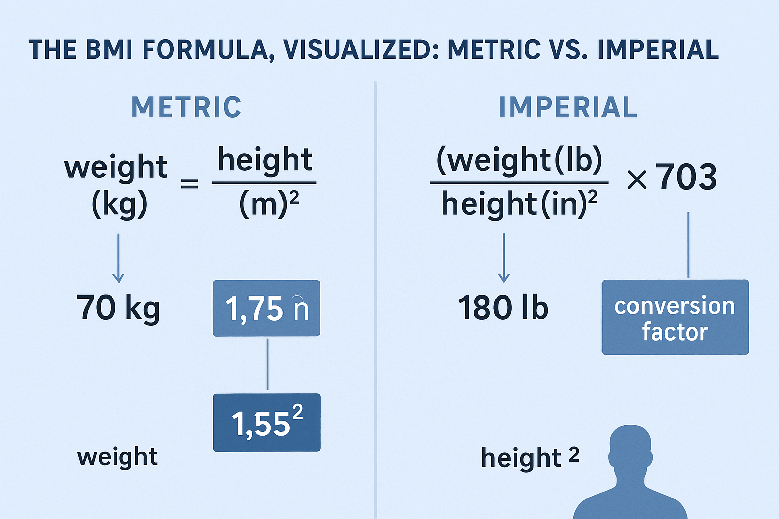 The BMI Formula Visualized