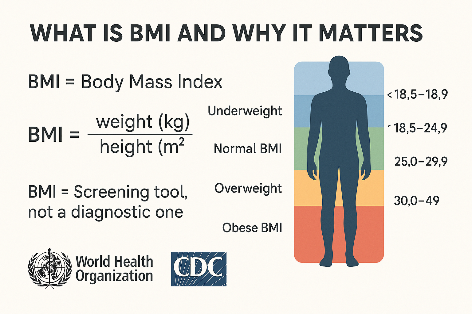 What is BMI and Why It Matters